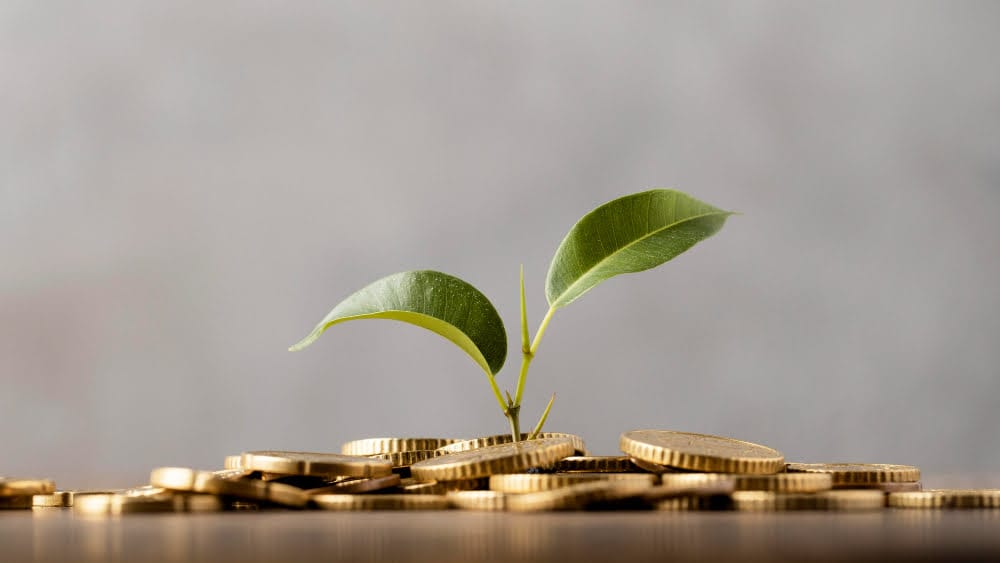 small green plant in middle of heap of gold coins.